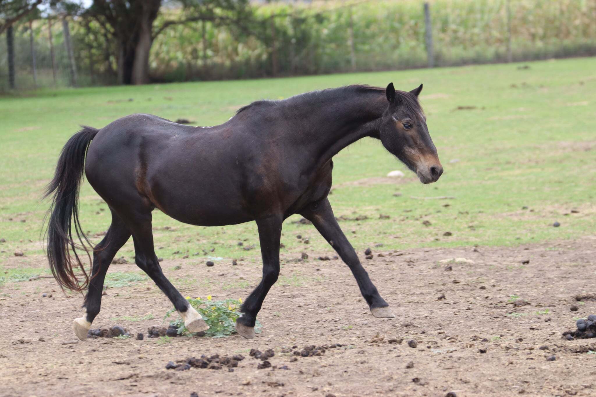 0b70e2fb-8c86-4dac-b079-47c42b4b4947