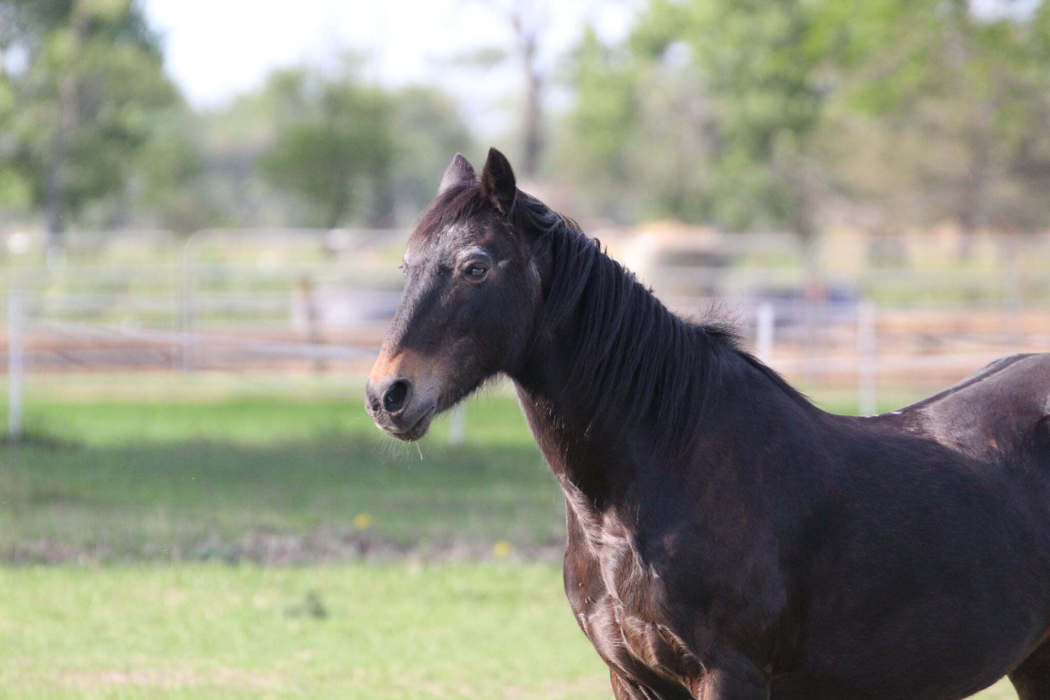 1900fa02-69ff-4b22-ab75-e012b7504bb0