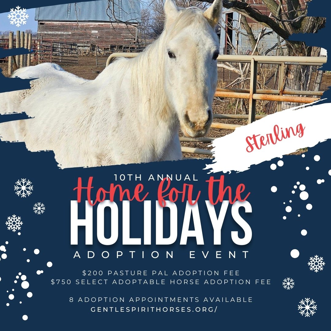2023 HomefortheHolidays - Sterling