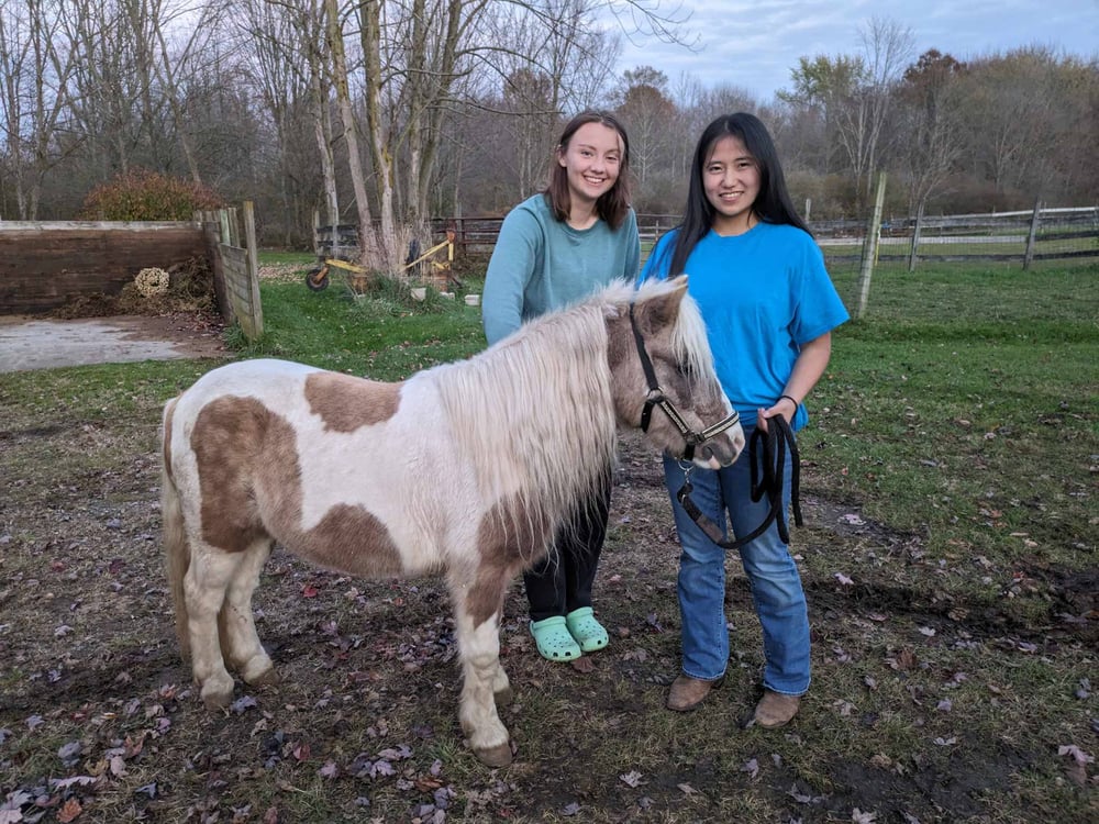 Pony Wesley has a new home!