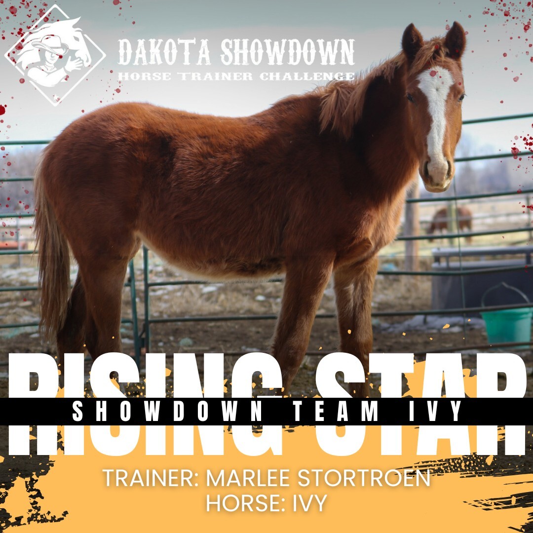 500577148_681524311292468_487546299488714765_n