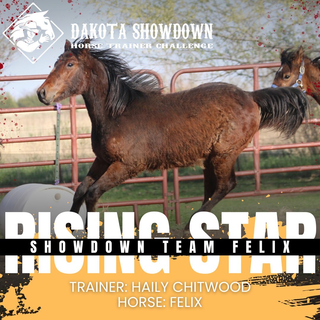 500742584_681524307959135_8992582119330424789_n