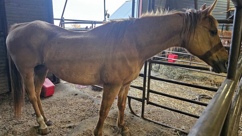 504349794_1133510262146188_7999024687197310155_n (1)