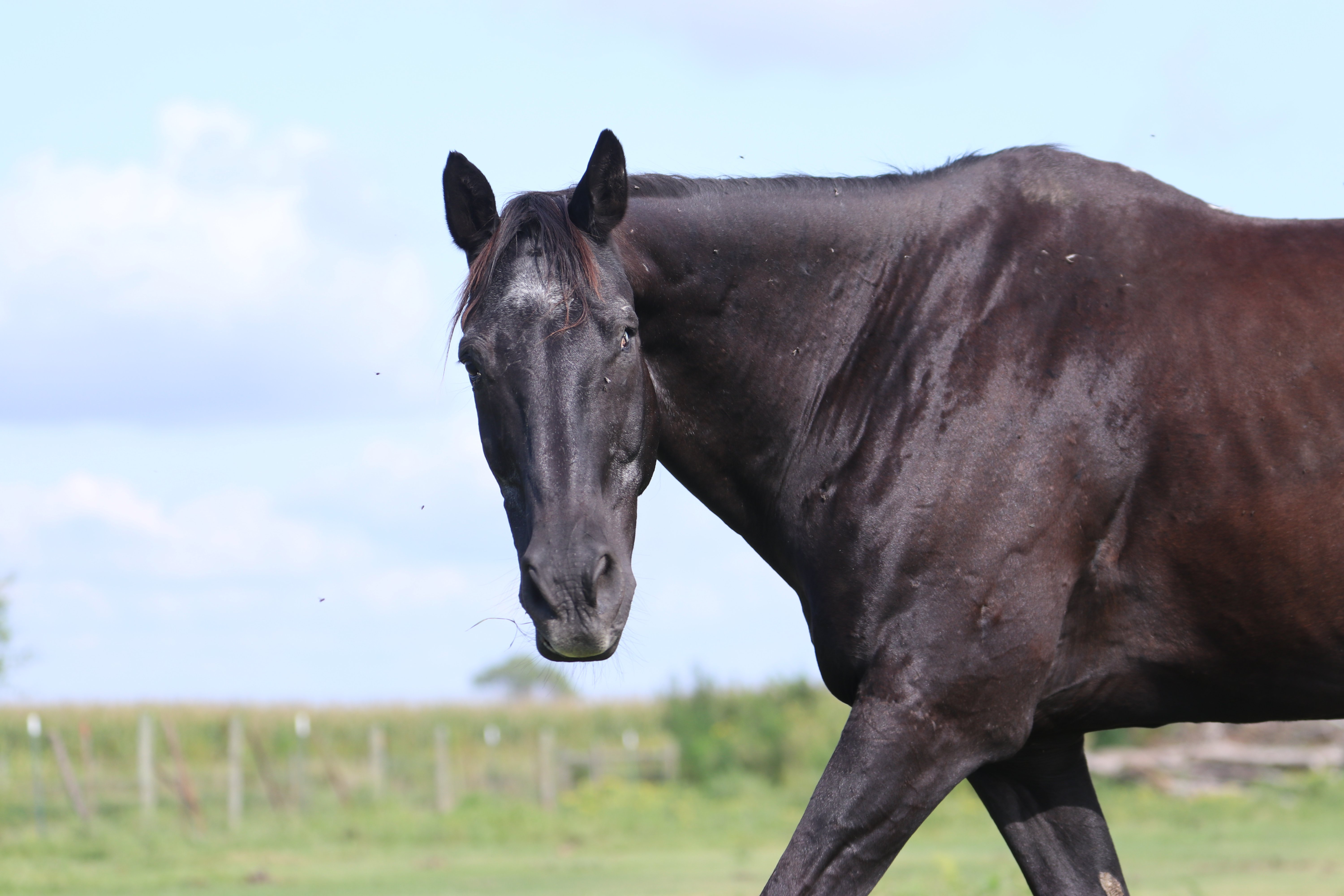 591008961_876154185139360_3626607220906974485_n