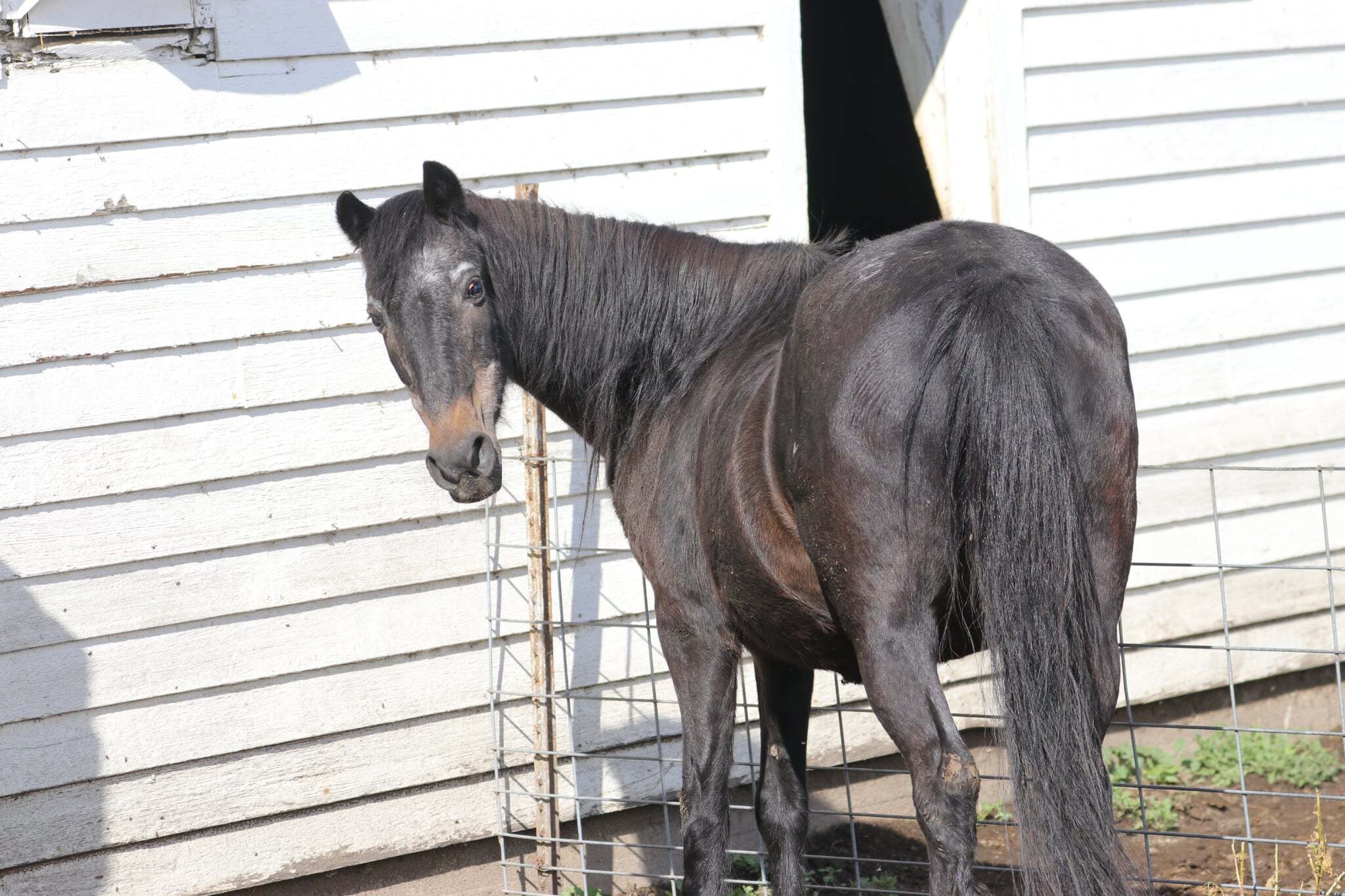 59a3dea5-ed76-465e-a4e1-938c92d75764