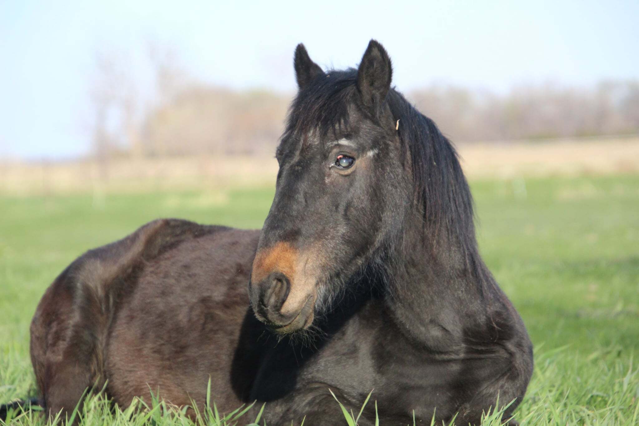 6a0f9545-90ad-4610-999b-5319d894e77b