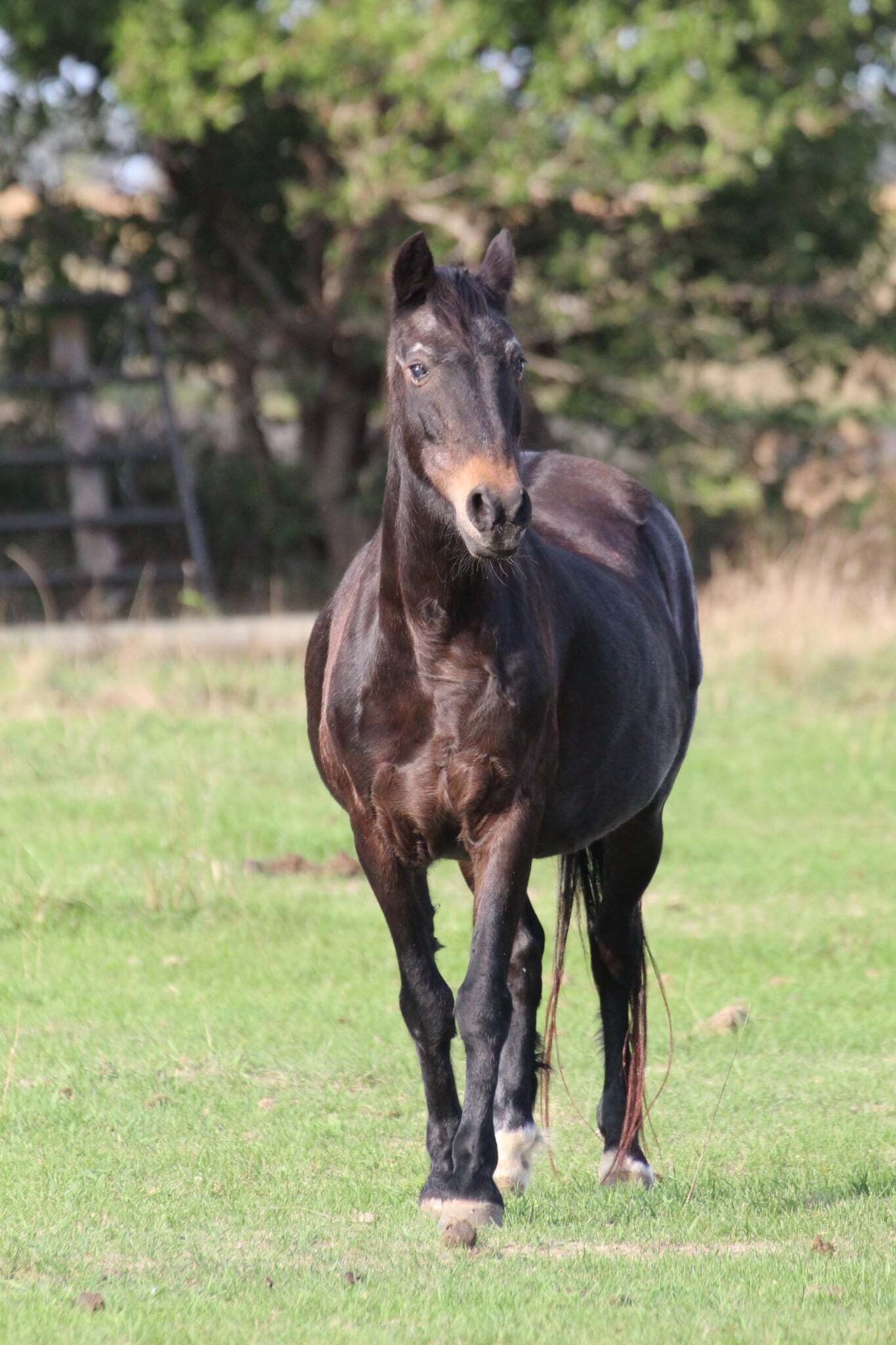 9910ddac-21a3-4299-b5fa-14b128b27c9f