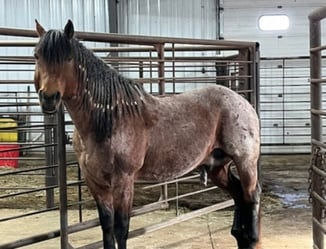 Screenshot 2026-03-22 115045555 (1)