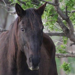 beau_2020_01-912-1606312873-1