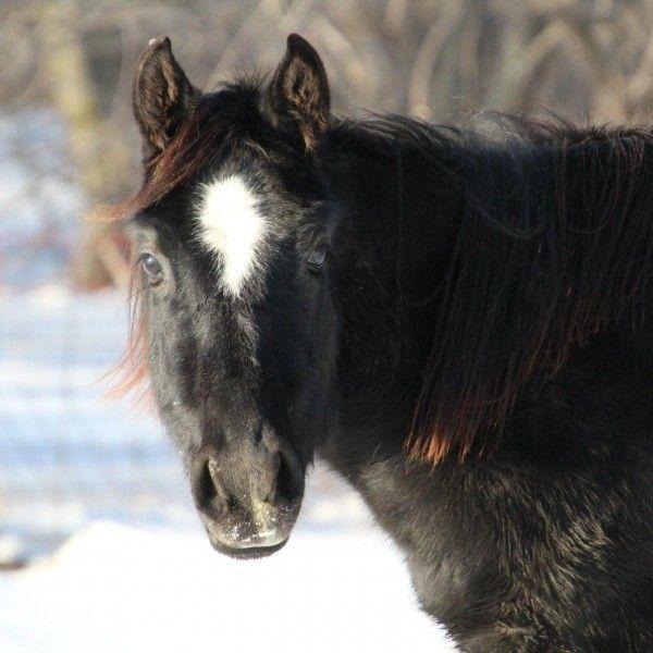 belle_winter2020-935-1614980201