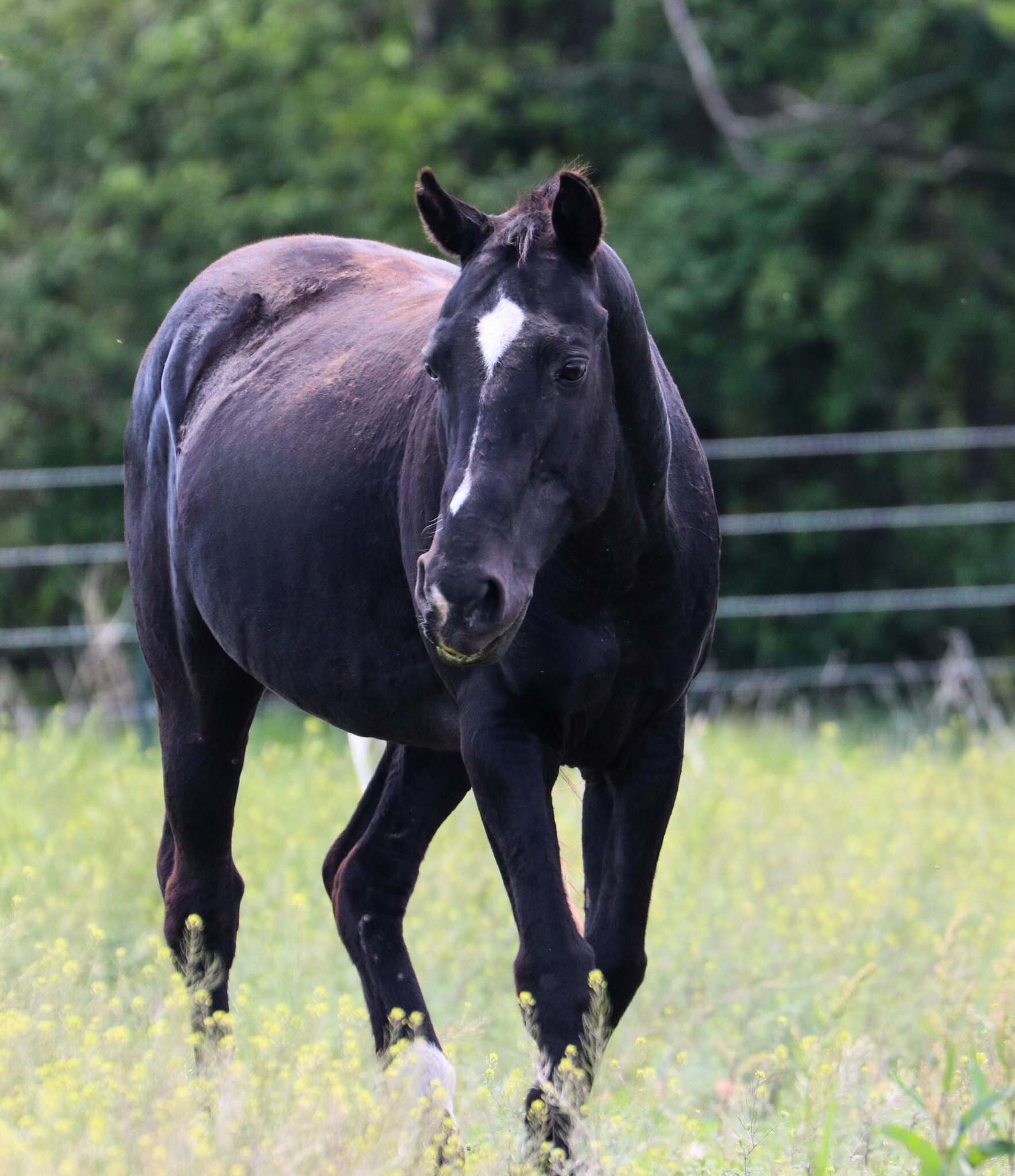 e16e13b8-a4f0-4a7d-9256-a3f9c45e0c5e