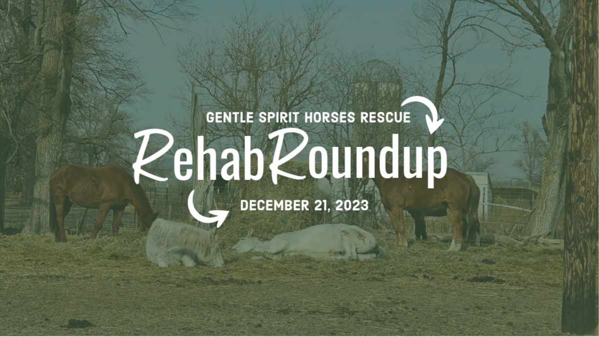 rehabroundup12212023