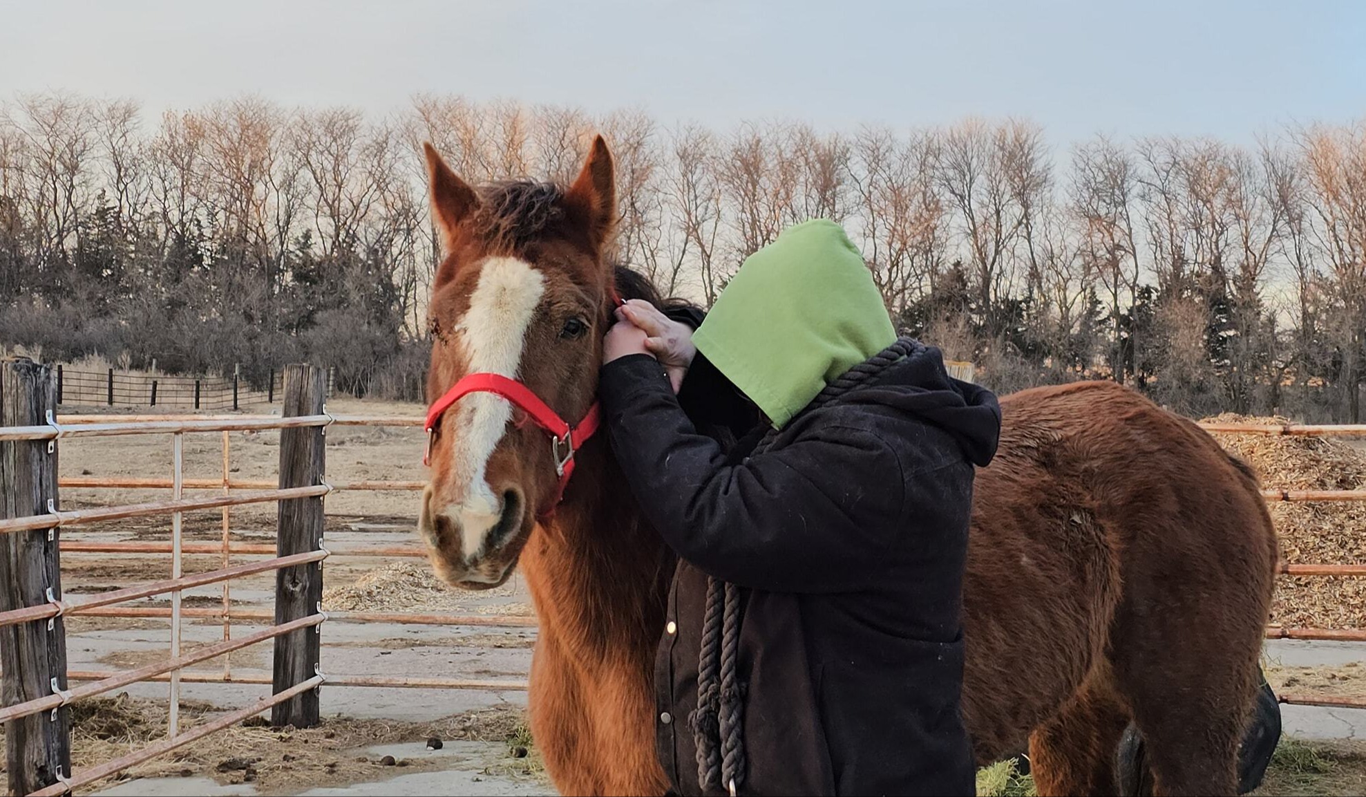 sweetmare_01