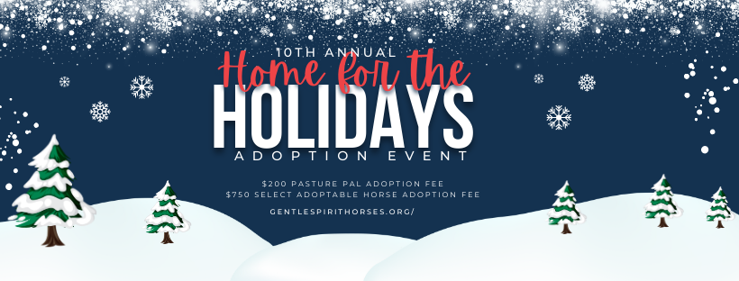 Time for the 10th Annual Home for the Holidays Adoption Event!