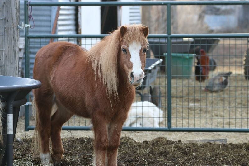 627070915_1340228028141076_2280064976252745884_n