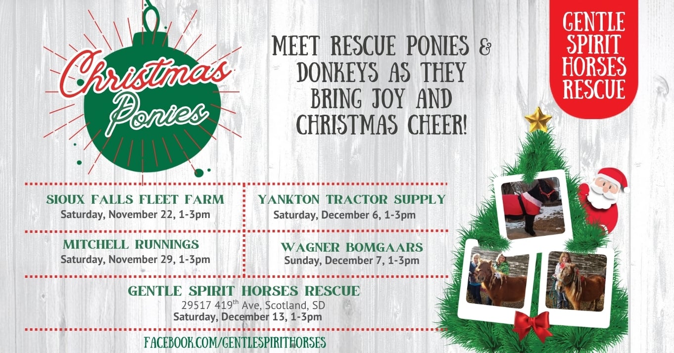 ChristmasPonies - FB Event