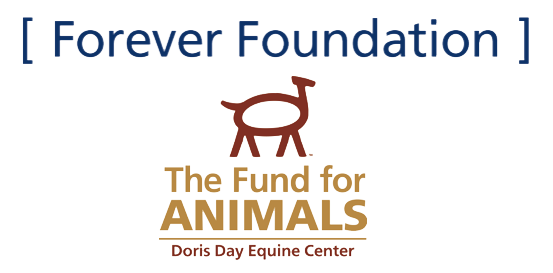 foreverfoundation.png#asset:95