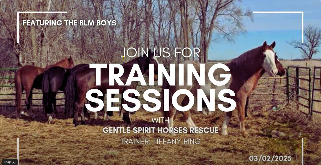 Check out our latest Training Session video on Youtube!