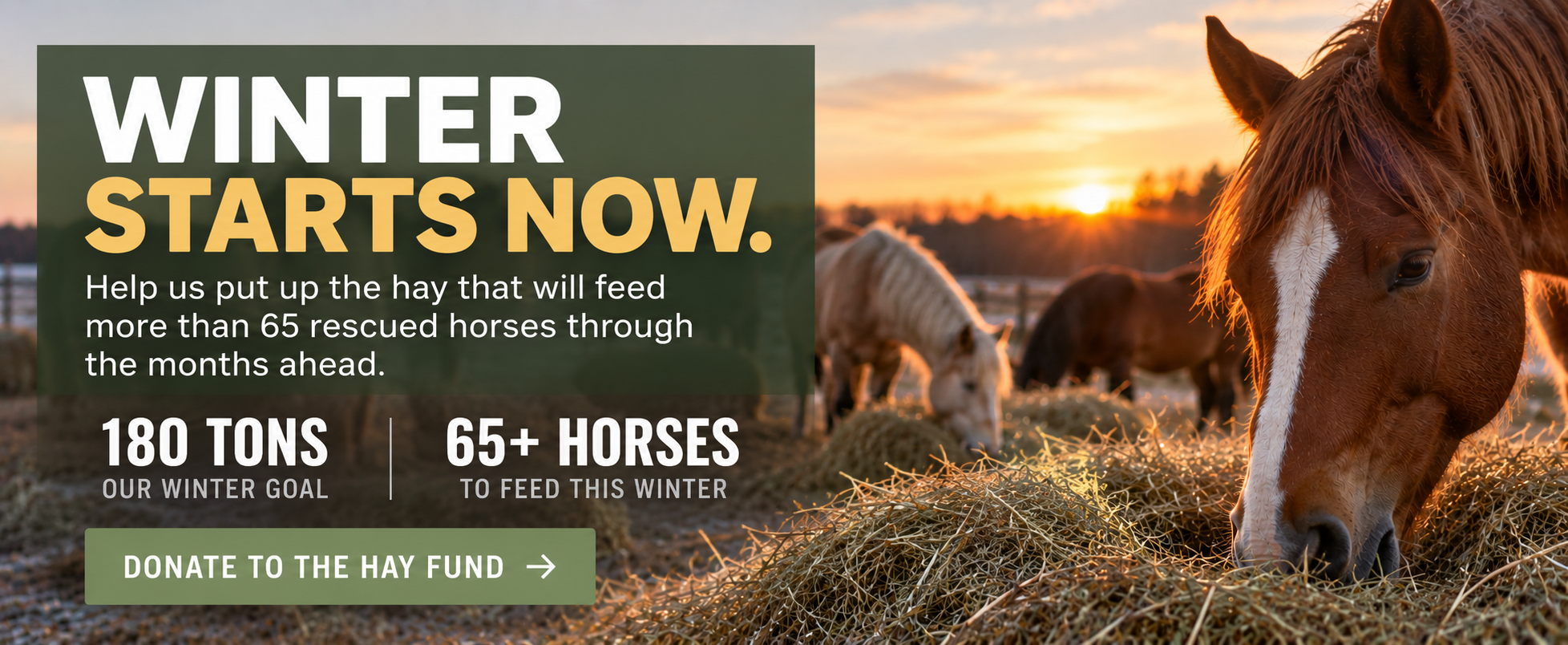 Winter Hay Fund for Rescued Horses Winter Hay Fund for Rescued Horses
